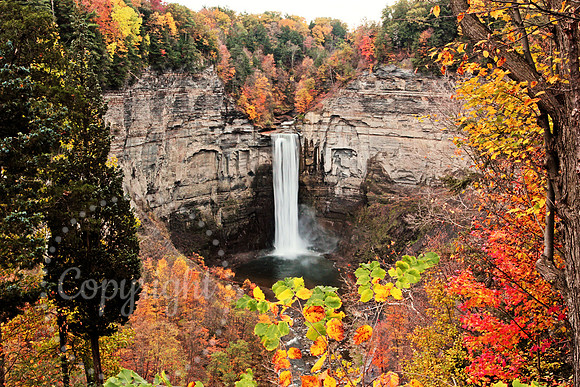 Taughannock Falls Autumn