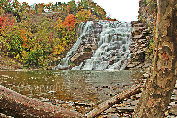 Ithaca Falls