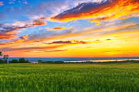 Seneca Lake, Lodi NY