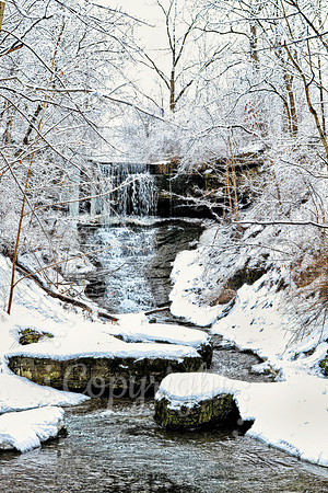 Romulus, NY